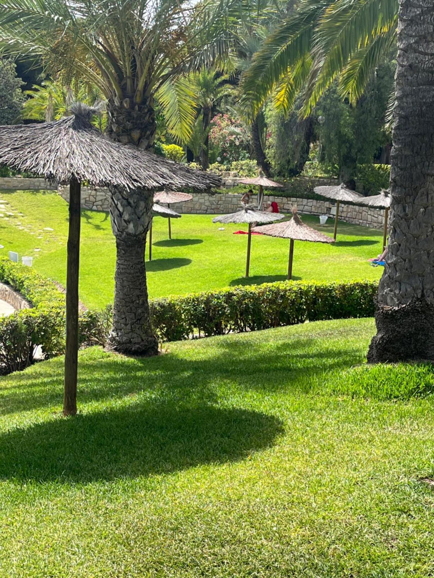 Parque La Chicharra Near Alicante And Beach المظهر الخارجي الصورة